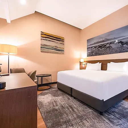 Sky Erciyes, A Member Of Radisson Individuals Nize